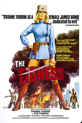 云浮seo站内优化公司